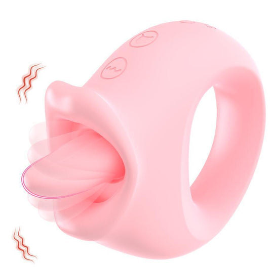 LoopLure
